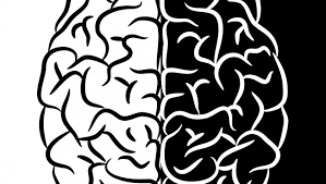 4DE8EB5C-BBDE-418E-B739-F1EE0D0F40A9